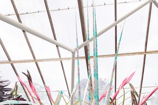 Georgia Janes, “Garden of Elowan”, Open Space (2022)