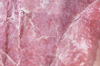 Alix Marie, Wax Photographs, 2014