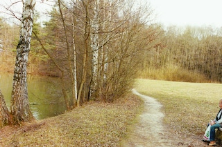 Nr 38 of the series ‘Irene im Wald’, 2012 