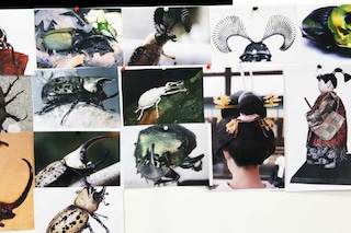 Preview photography by Susie Bubble
