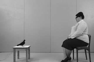 Gemma Marmalade Strange Birds, 2011 Video Projecti