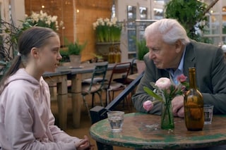 Great Thunberg, David Attenborough