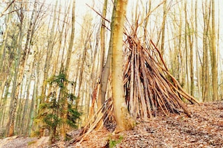 Nr 21 of the series ‘Irene im Wald’, 2012 