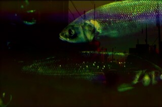 Dinos Chapman&#39;s Audio-Visual Show