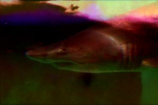 Dinos Chapman&#39;s Audio-Visual Show