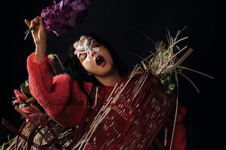 Bj&#246;rk – autumn 2017 
