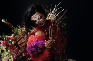 Bj&#246;rk – autumn 2017 