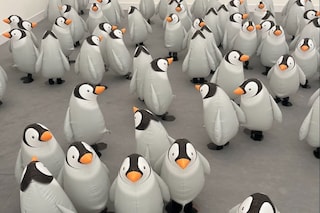 Snapinsta.app_462546317_17924575427968038_21695558