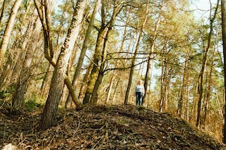 Nr 1 of the series ‘Irene im Wald’, 2012