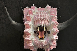 Scott Hove - Gear Face