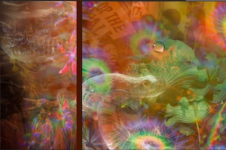 Nicoletti, Art Basel Miami Beach 2025