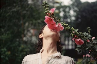 Ryan Skelton: Land Swallow