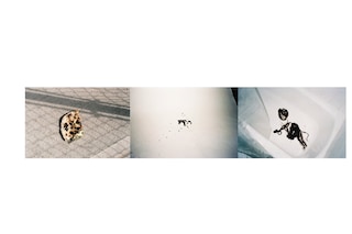 Photography Marte Mei van Haaster