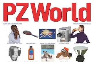 PZWORLD