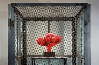 cell XIV (portrait)-4309-CB-1_LG