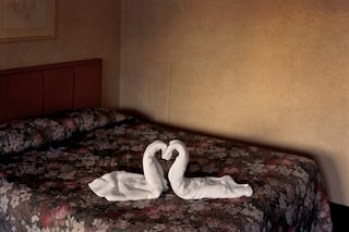Alec Soth, Niagra (2018)