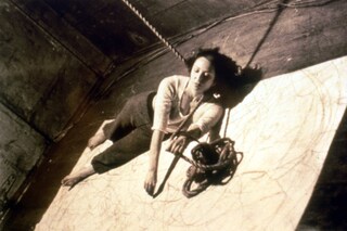 Carolee Schneemann at PS1