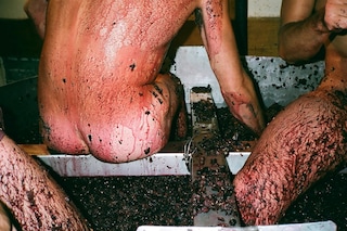 Le cul dans le raisin, Condrieux, 2012