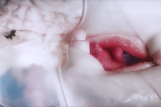 Bjork - Arisen My Senses video