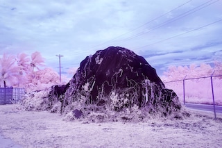 Sanne de Wilde, The Island Of The Colourblind