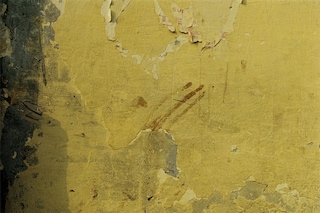 Harley Weir’s Paintings