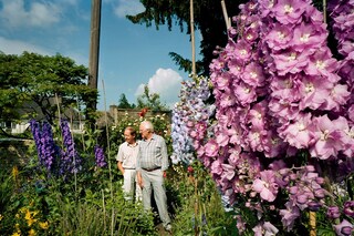 The Photographer in the Garden