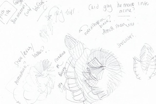 Workbook/research imagery courtesy of PHNX