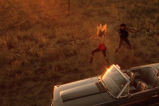 Wild at Heart