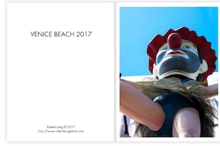 Robert Lang Venice Beach