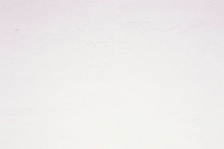dim past press portrait