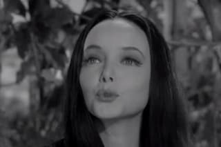 The Addams Family (1964–1966)