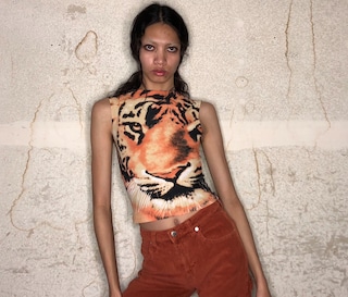 Noah Carlos Dazed 100