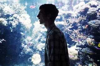 Rosaline Shahnavaz's Portfolio