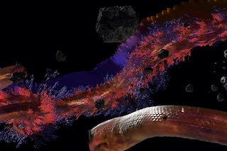 Josèfa Ntjam, Swell of Spæc(i)es (2024)