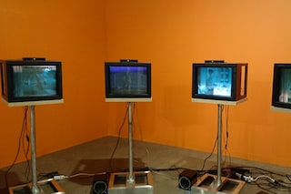 Charles Atlas at Vilma Gold