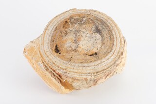 Bad Luck Hot Rocks Petrified Forest book Ryan Thompson 3