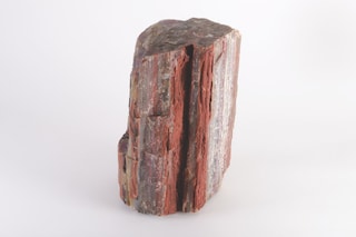 Bad Luck Hot Rocks Petrified Forest book Ryan Thompson 4