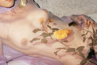 Novembre 15