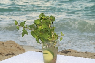 Andreas Ervik, Earth Lovers Drink Responsively, 20