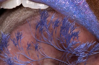 Lucy Hardcastle and Maisie Cousins, “Tongue Plants” (2023)