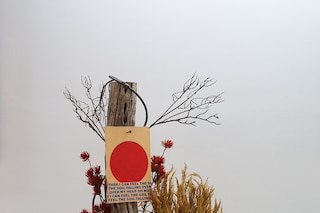 Grace Ahlbom &amp; Willie Stewart, Detail 04