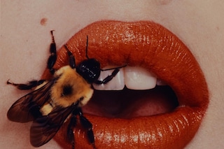Bee-1995-Irving-Penn