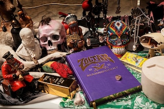 Project Zoltar (book img)