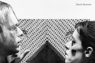 David Noonan Monograph
