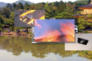 How happy a Thing can be, 2014, HD video