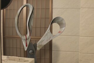 How happy a Thing Can Be, 2014, HD video; courtesy