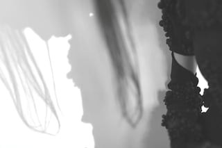 Screen Shot 2013-02-01 at 11.03.57