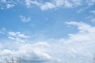 Tashiya de Mel photographer