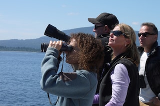 Blackfish Dogwoof Documentary (4)
