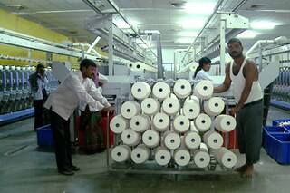 COTTON_3